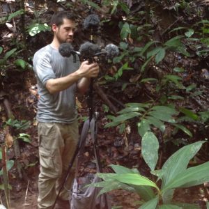 Sound Recording Amazon Forest