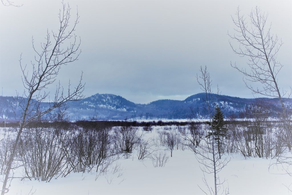 winter lake forest horizon