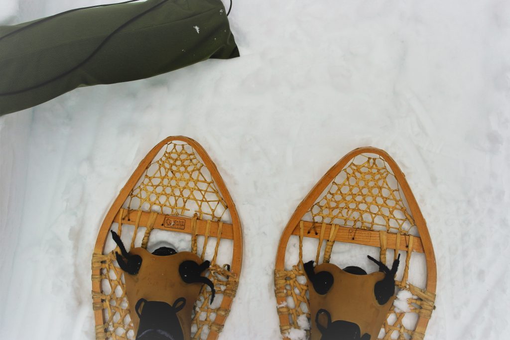 SnowShoes